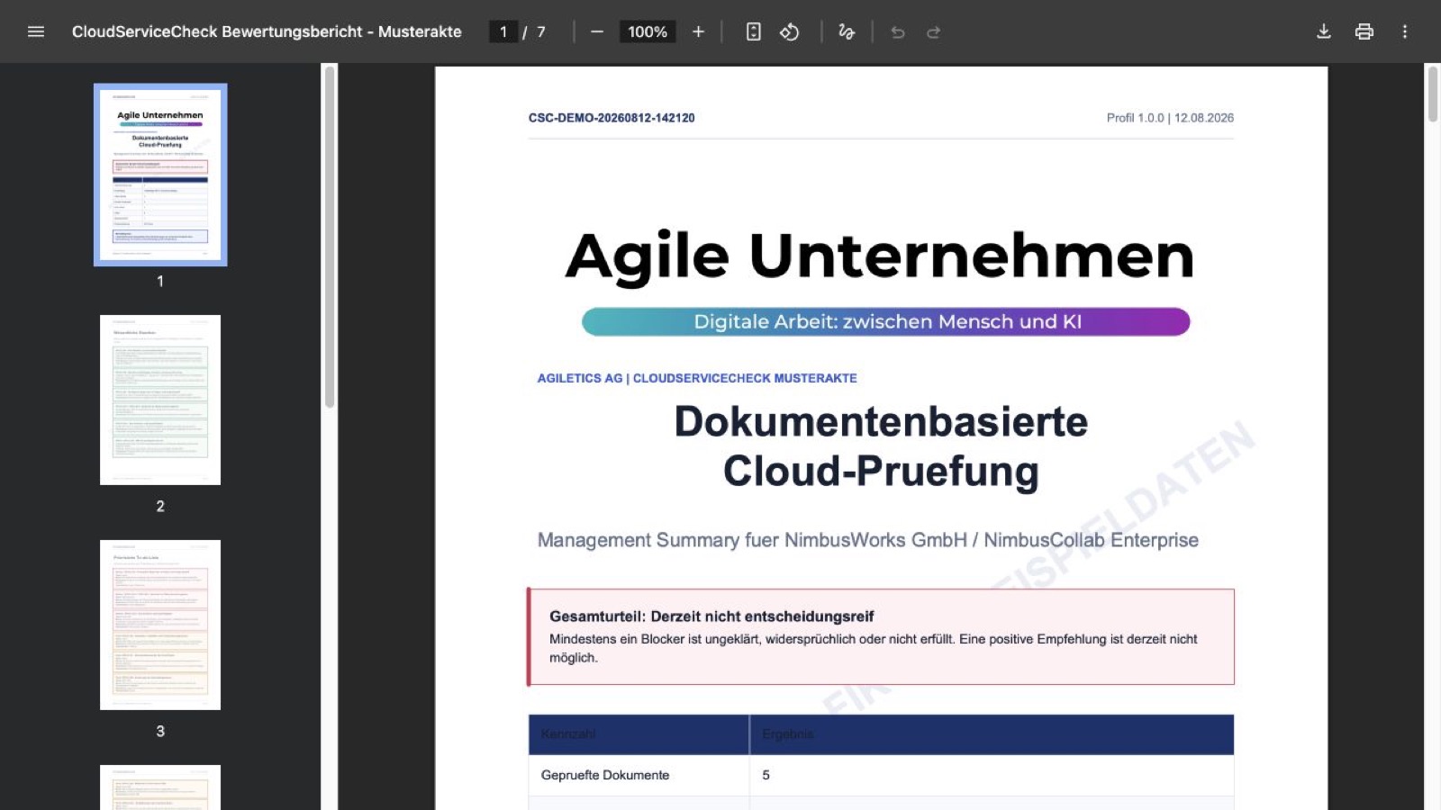 Am Ende erzeugt das Tool ein kompaktes PDF-Gutachten mit Managementurteil, Maßnahmen und Prüfmatrix.